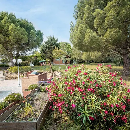 Au Jardin Des Gallinettes Location Piscine Privee Carcassonne Villa Alairac